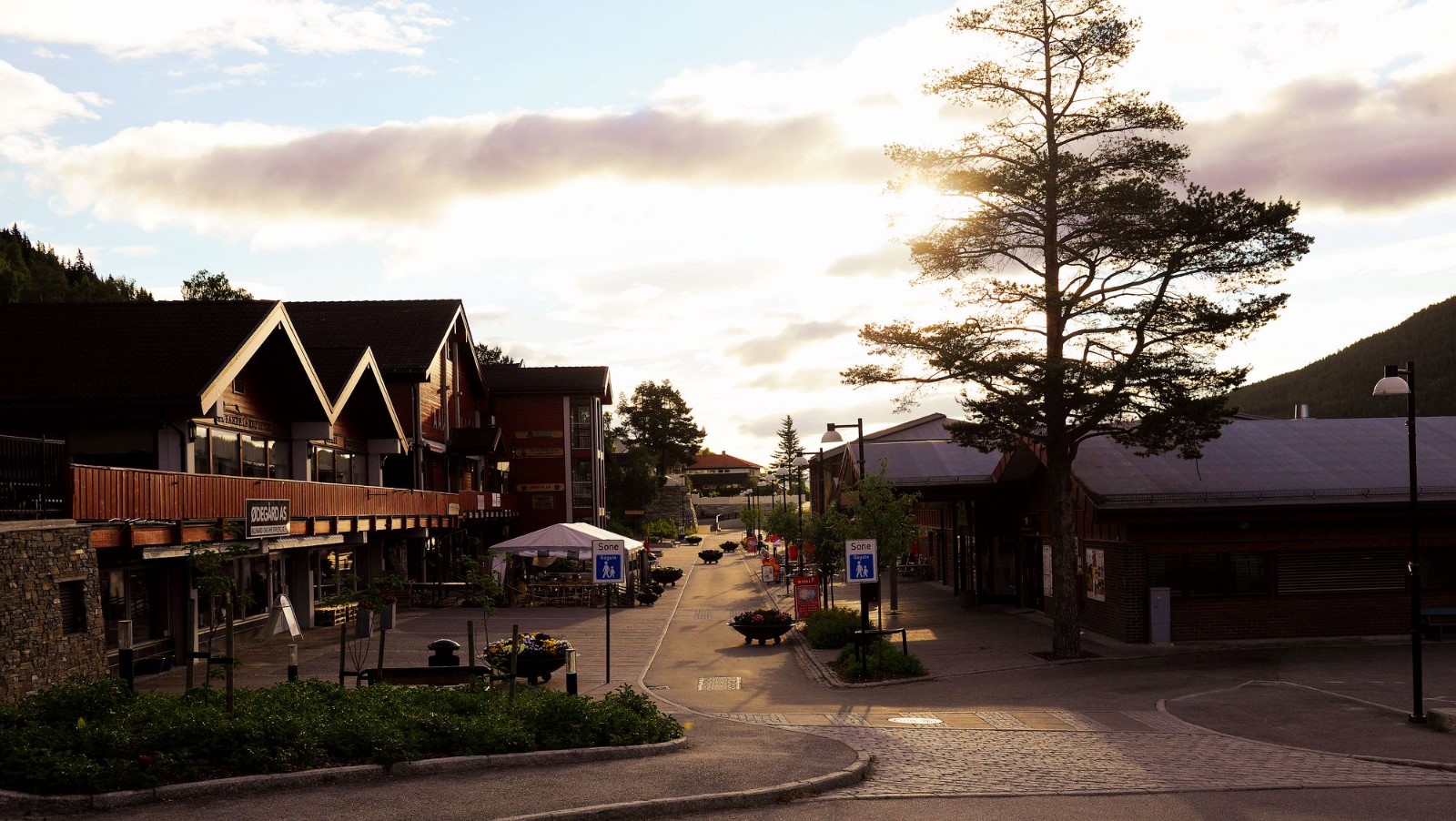 世界杯决赛采访主教练,世界杯上海赛区