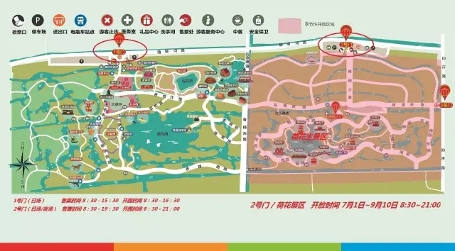 百亩荷塘美不胜收,千亩荷塘风景如画