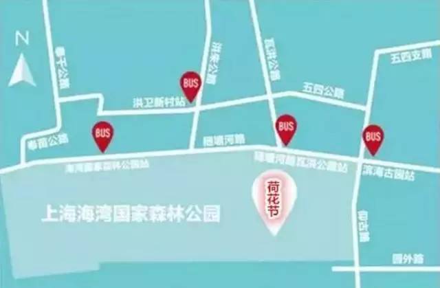 百亩荷塘美不胜收,千亩荷塘风景如画