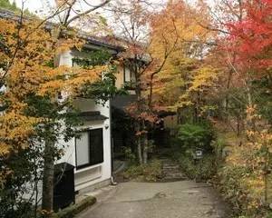 鏃ユ湰涔濆窞鐔婃湰妯辫姳澶ч亾,鏃ユ湰鐔婃湰鍒伴箍鍎垮矝绁ㄤ环