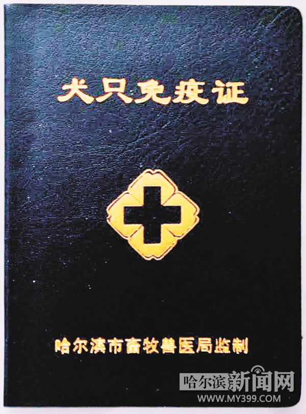 犬证犬牌哪里办理,城市办犬证有数量要求吗