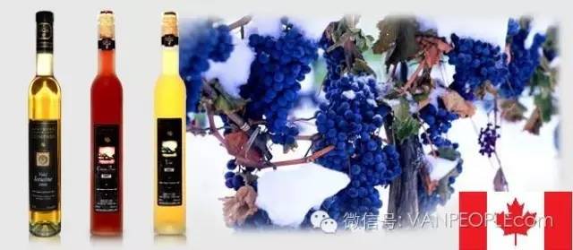 吐槽：亲爱的小学同学，姐姐我回趟国，凭什么给你带东西！