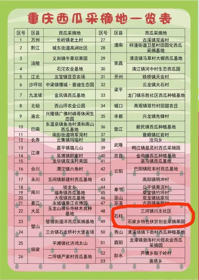 石柱“拇指姑娘”“金姑娘”开采啦！