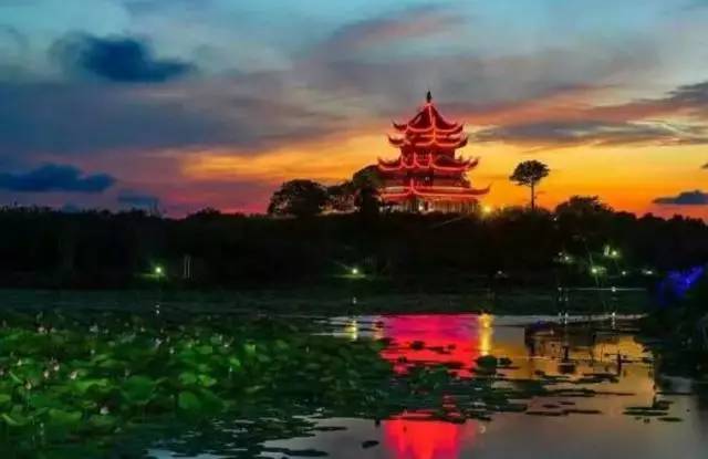 百亩荷塘美不胜收,千亩荷塘风景如画