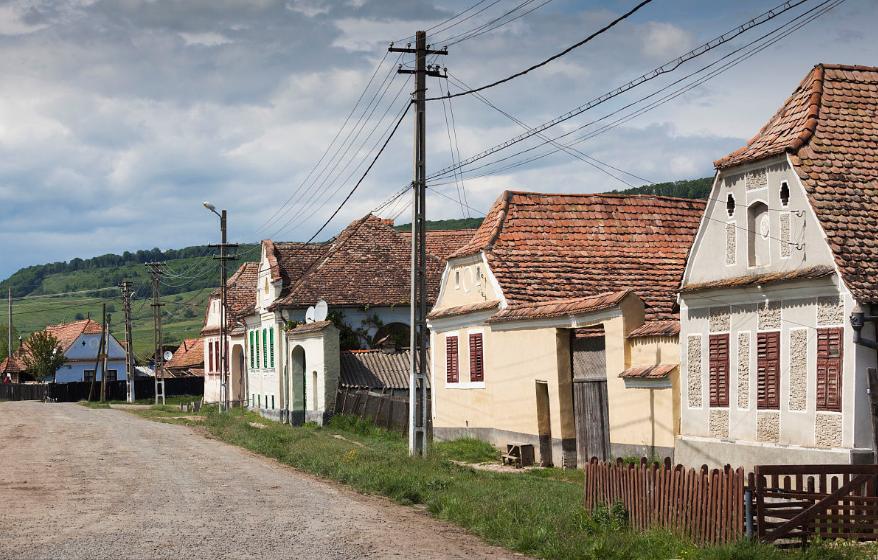 世界杯决赛采访主教练,世界杯上海赛区