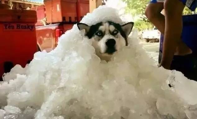 奥普乐水上乐园北京,奥普乐水上乐园门票