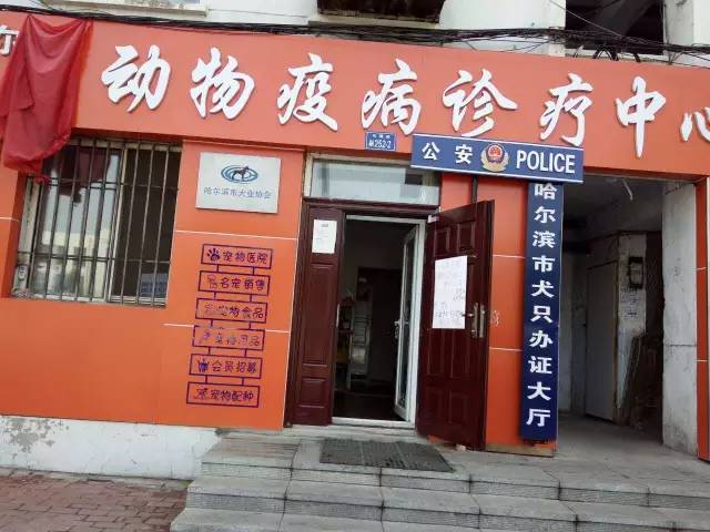 「爱犬」不花1分钱你的狗狗也能有“身份”了丨附8个*证办**地点及哈市禁养犬品种目录