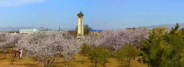 「生活」看到这些遛弯圣地，你还能允许自己晚饭后窝在沙发上长肉吗？