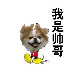 论颜值我只服它原版,论颜值我不输给谁原版