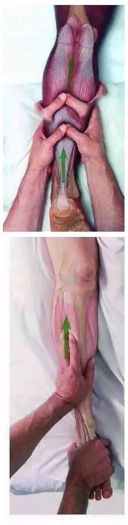 跑后总出现肌肉劳累,小腿肌肉紧绷僵硬是什么原因