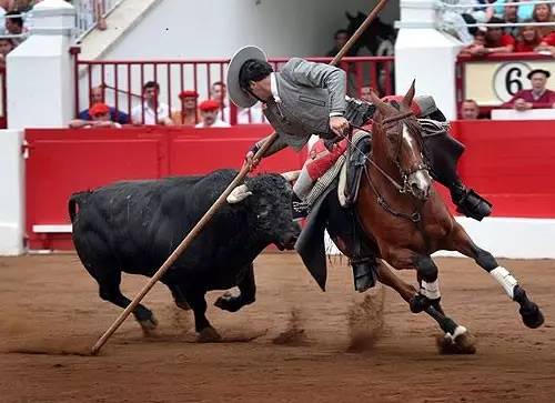 奔牛节牛牛是如何上位的？能上斗牛场成为星牛的三大星相特征！