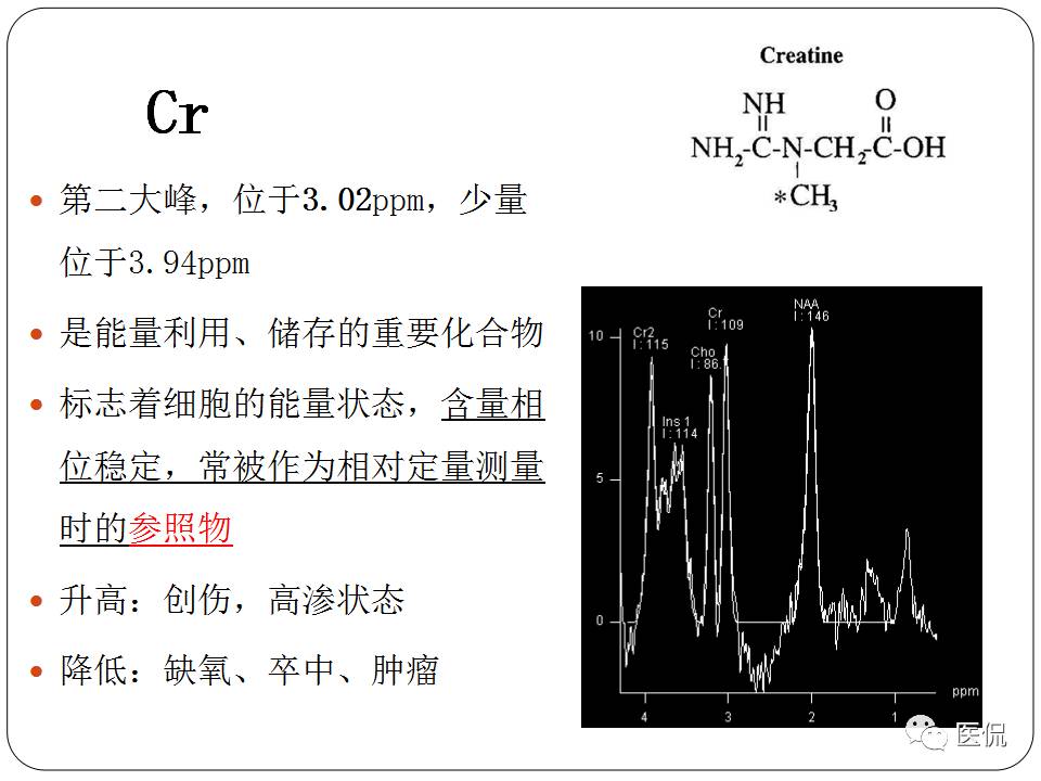 神经系统解剖ppt课件,神经内科课件ppt
