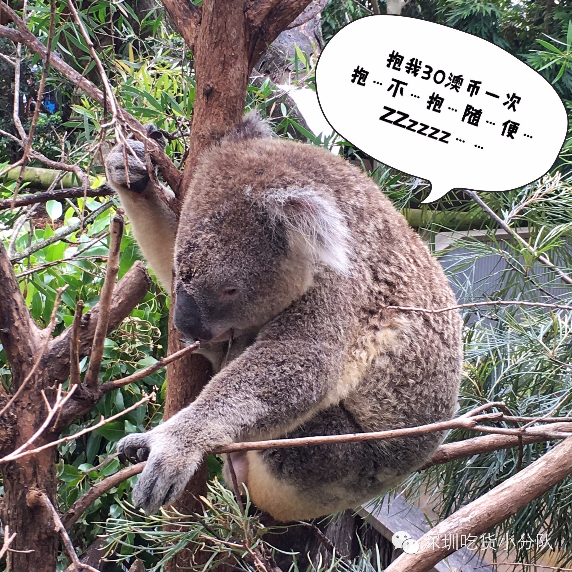 吃货浪游记丨我的胃说想去南半球看看~