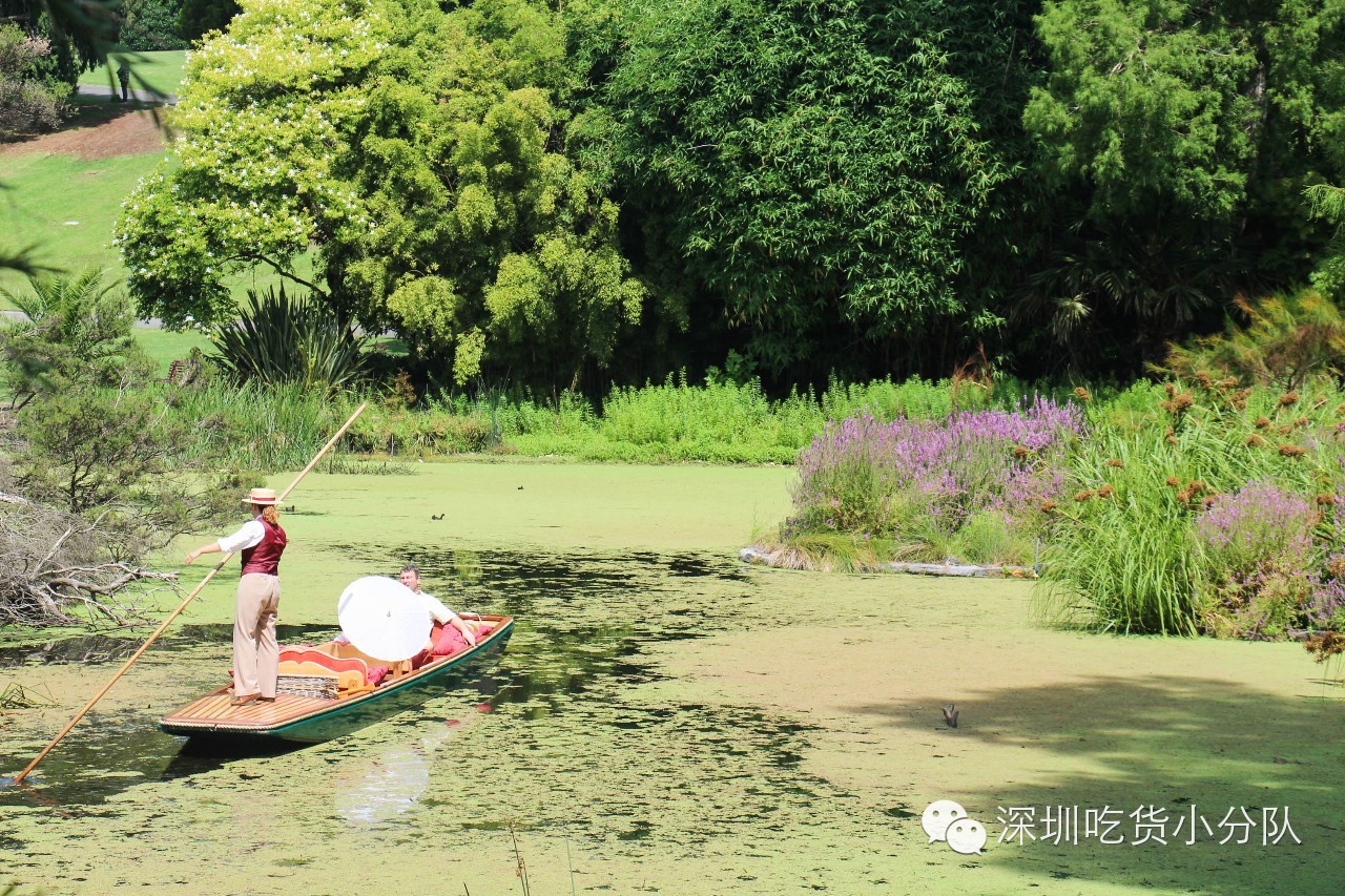 吃货浪游记丨我的胃说想去南半球看看~