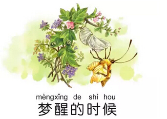 杨红樱作品适合孩子看吗,杨红樱的作品受孩子欢迎的原因