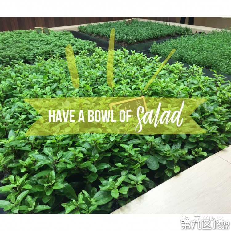 粗去浪|为了推荐好吃的咖喱和零食，本宝宝码字好辛苦！