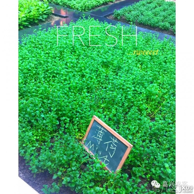 粗去浪|为了推荐好吃的咖喱和零食，本宝宝码字好辛苦！