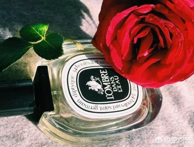 最喜欢的一款香水,最喜欢的香水绝版