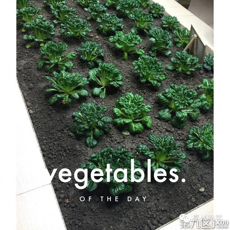 粗去浪|为了推荐好吃的咖喱和零食，本宝宝码字好辛苦！