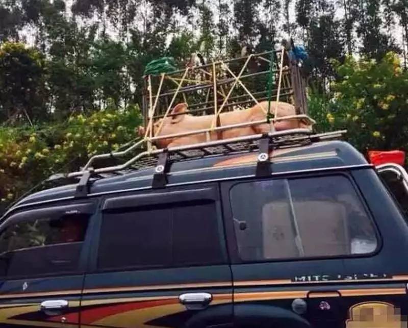 车顶加装平台违法吗,加装车顶纵杆要备案吗