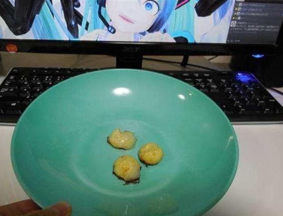 宠物龟生蛋了,宠物龟意外死亡如何处理