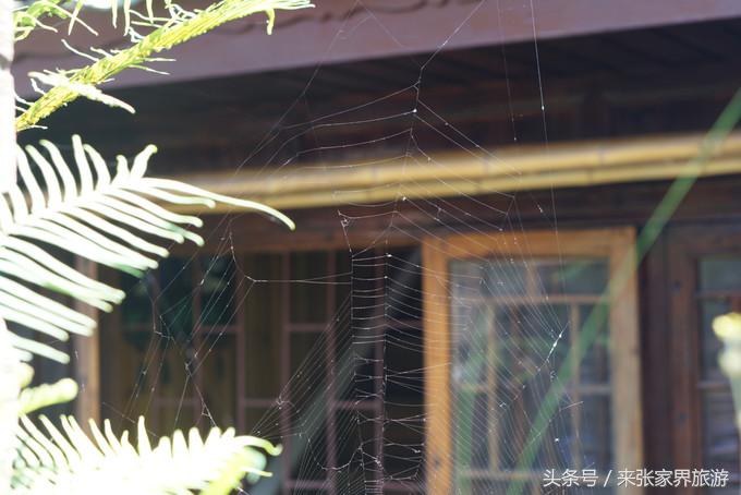 凤凰三日游详细旅游路线,凤凰三天游