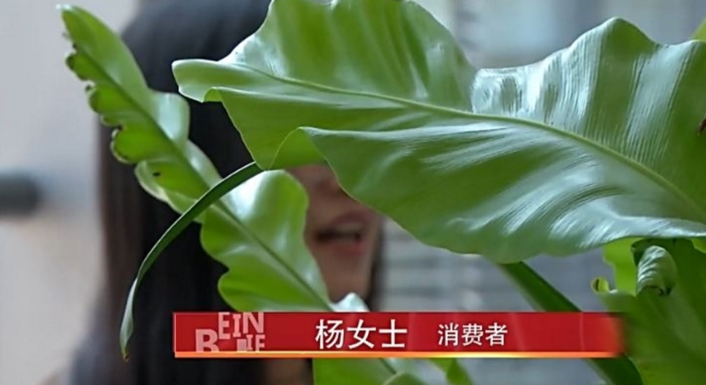 小米6死机按什么都没反应,小米6死机无法重启