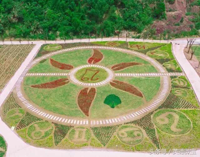 刘家旺普罗旺斯薰衣草花海,法国普罗旺斯薰衣草花海唯美视频