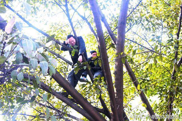 世界足坛这个赛季涌现的新人,欧洲足坛赛季总结