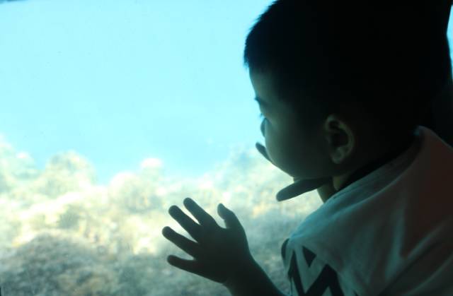 星梦邮轮顺德,星梦邮轮儿子最新视频