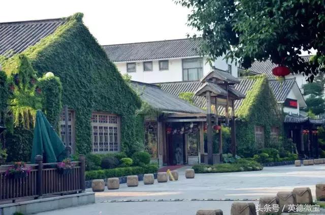 刘家旺普罗旺斯薰衣草花海,法国普罗旺斯薰衣草花海唯美视频