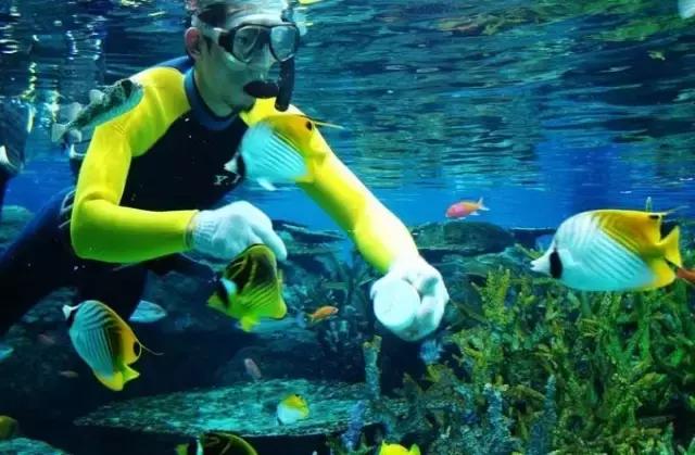 名古屋鳗鱼饭菜单三人套餐,名古屋美食旅游攻略