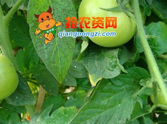 当今的农民最怕的是什么,农民最怕什么