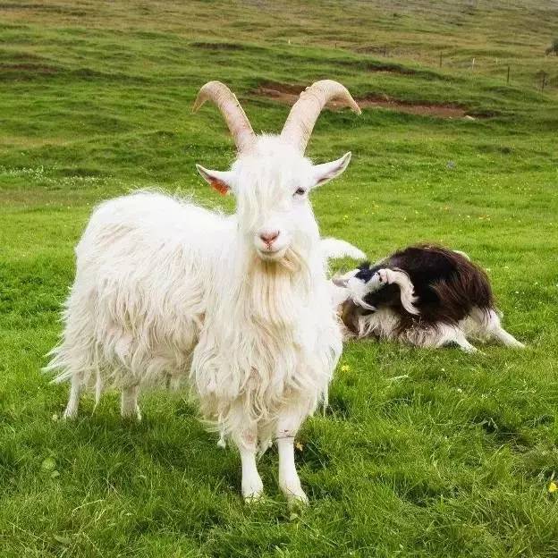 出门旅游如何看日出日落,一个人去看日落是怎样的体验