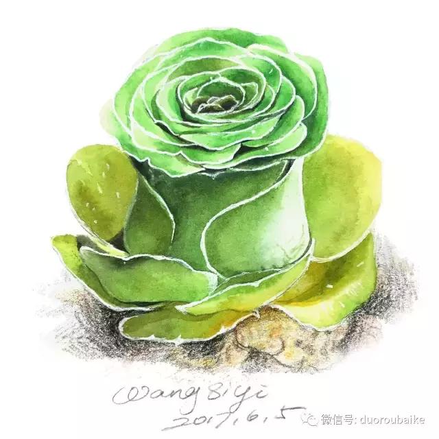 澶氳倝缁樼敾浣滃搧缁勫浘,澶氳倝鎻掔敾浣滃搧娆ｈ祻