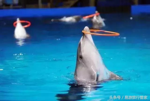 武汉自由行武汉8号线吃喝玩乐全攻略