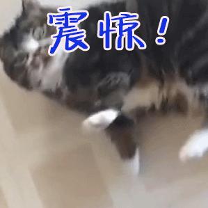 银川二中是什么档次,银川二中简介及分析