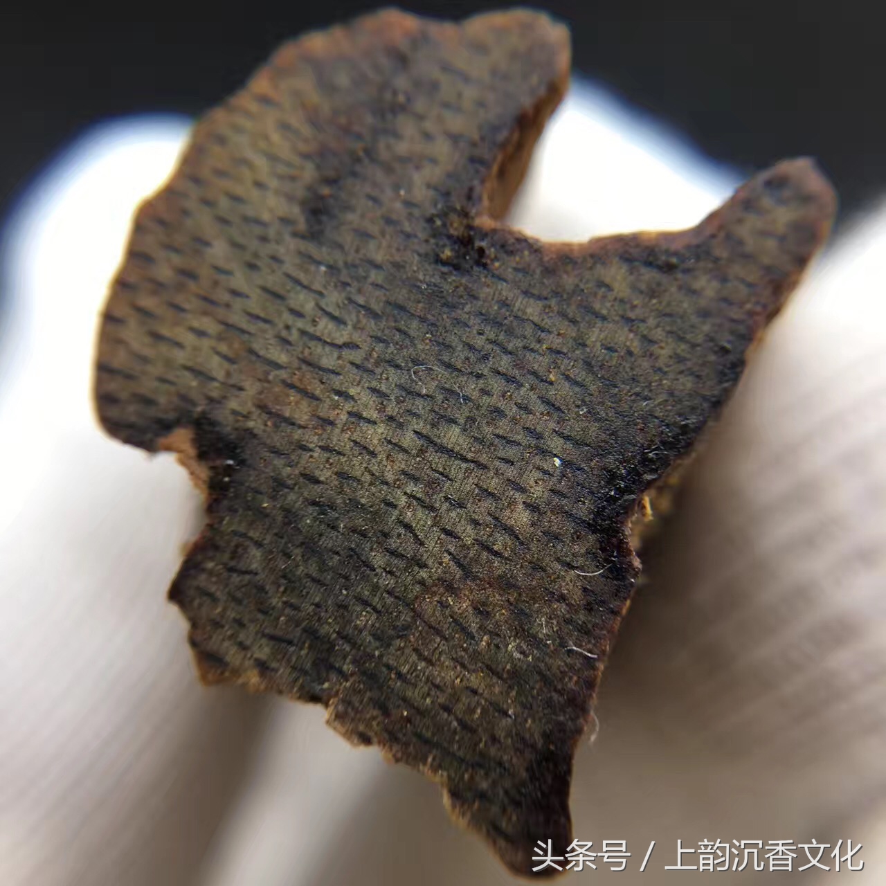 紫奇楠沉香的价格,广东奇楠沉香茶