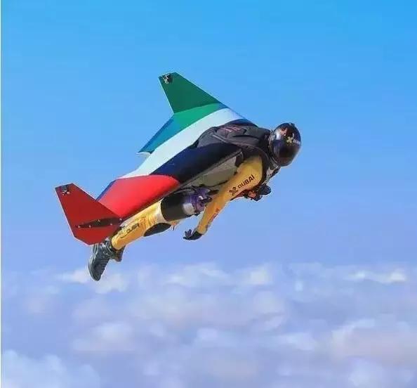 最帅迪拜王子哈曼丹,哈曼丹和威廉王子