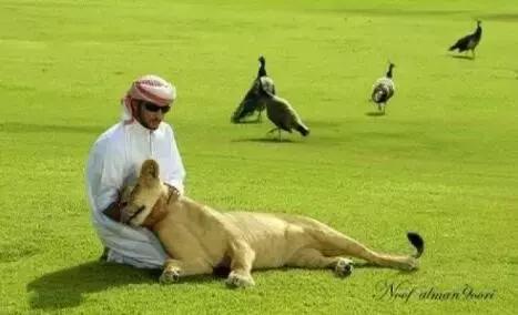 最帅迪拜王子哈曼丹,哈曼丹和威廉王子