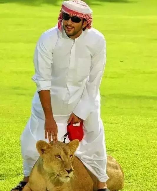 最帅迪拜王子哈曼丹,哈曼丹和威廉王子