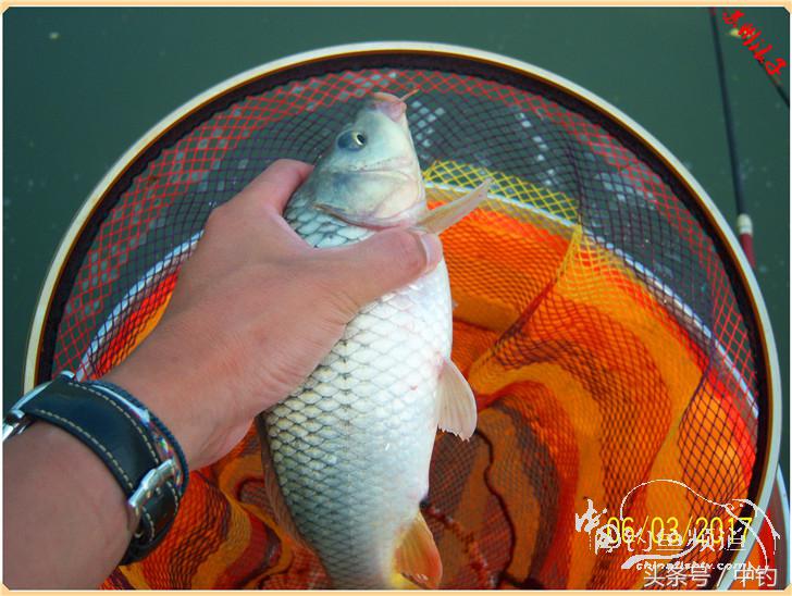 先分后合，爽钓半天