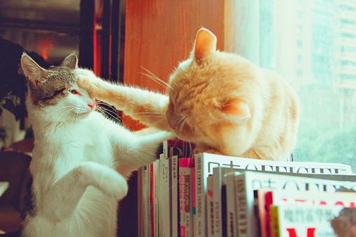 简单易懂的新手理财技巧,理财教程新手入门