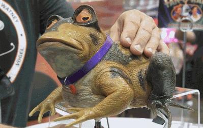 手机掉厕所里了怎么去味,手机掉厕所了该如何处理