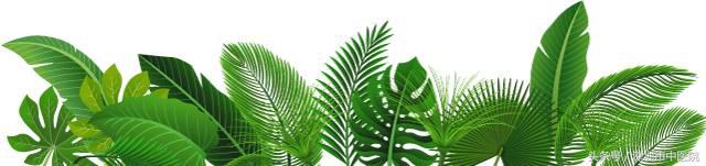 带你走出天灸的那些误区！