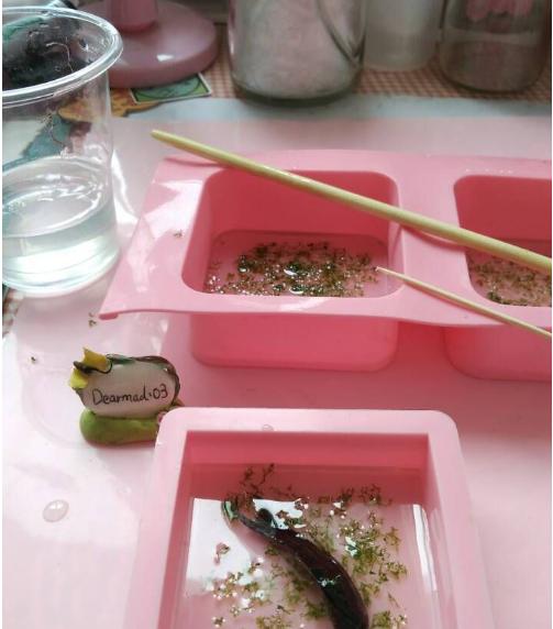 小小的金鱼死了怎么才能救活,彩色的金鱼死了还可以救活吗