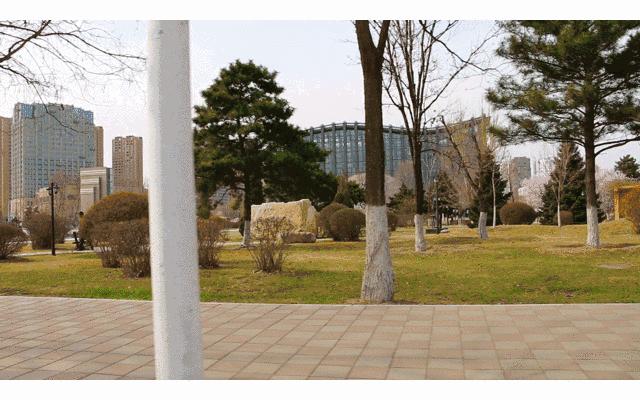 沈阳师范大学青春,再见青春沈阳