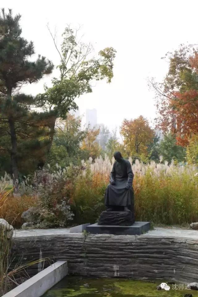 沈阳师范大学青春,再见青春沈阳