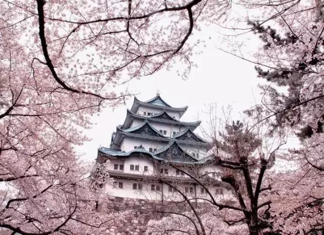 名古屋鳗鱼饭菜单三人套餐,名古屋美食旅游攻略