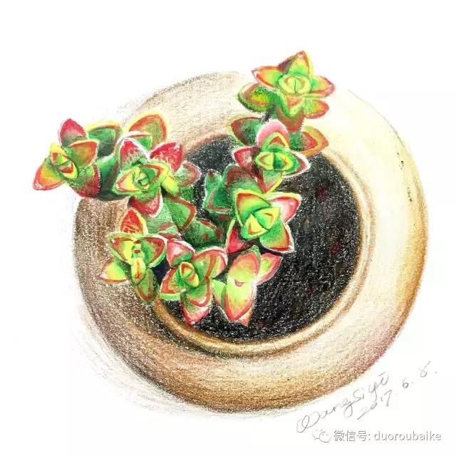 澶氳倝缁樼敾浣滃搧缁勫浘,澶氳倝鎻掔敾浣滃搧娆ｈ祻